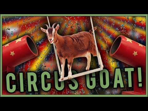 AMNJX 平本蓮　GOAT SAVE 27circus 27circus fight shorts of AMNJX