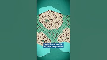 All Growths Lead to Dome