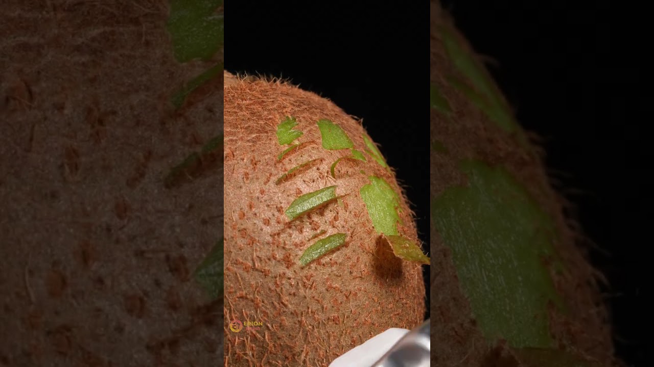 Shave Kiwi Feathers in Macro, but it hurts so sorry ASMR 