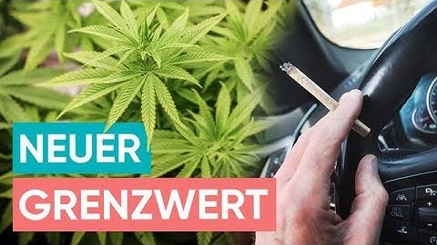 Cannabis am Steuer: Diese neuen Regeln gelten ab Juli