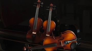 Eurostring Violin Model 100 | Kester Music Instruments