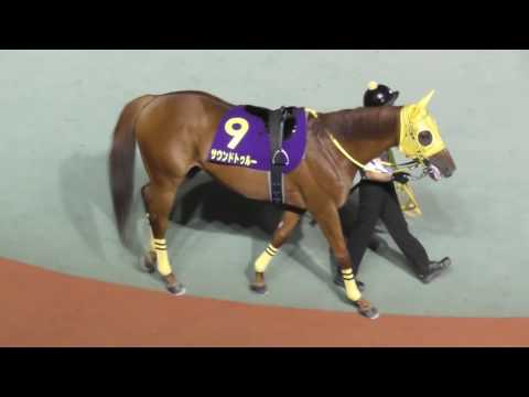 2016 第63回 日本テレビ盃（ＪｐｎII） パドック 現地映像 アウォーディー