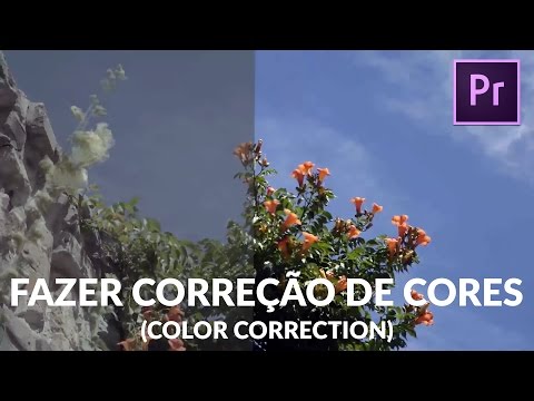 Tutorial Premiere Pro CC - Como fazer  correção de cores (Color Correction)