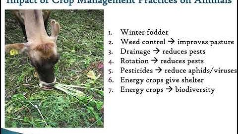 Principles of Crop Production and Management