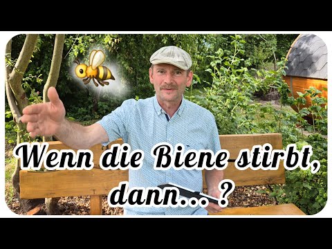 Who Is to Blame for Insect Die-off? Could We Live Without Bees?