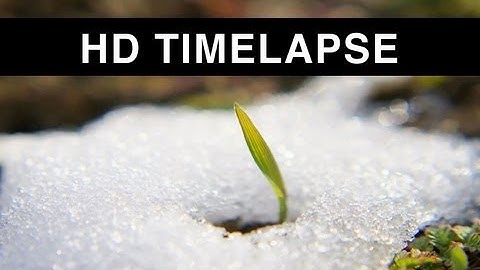 Time lapse of Snow melting [HD]