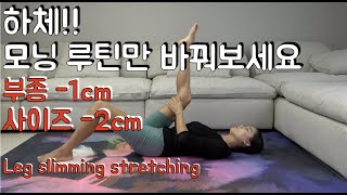 더이상 하체살 때문에 고민하지 마세요! 하체는 부종을 잡아야 살이 빠질 수있어요-강하나스트레칭(2020.08)