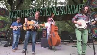 Billy Strings | The Train That Carried My Girl From Town | Northwest String Summit | gratefulweb.com chords