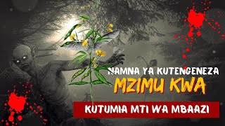 NAMNA YA KUTENGENEZA MZIMU KWA KUTUMIA MTI WA MBAAZI