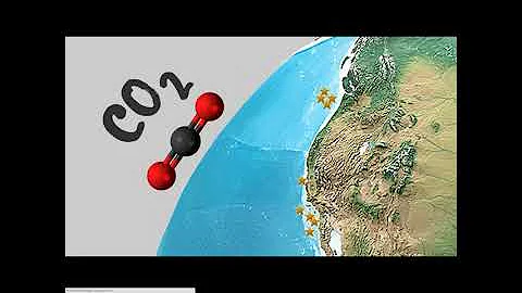 Crumbling coral: cold-water reefs in the acidic NE...