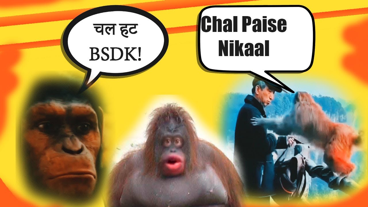 monkey funny memes compilation | Dank Indian Memes compilation | Jholachhap Roaster