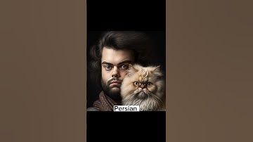 Cat breeds as humans generated by AI #shorts #ai #midjourney