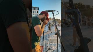 Blues Harmonica busker #harmonica #busking #blues #bluesharmonica #gaita