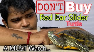 PROBLEM WITH TURTLES || RED EAR SLIDER INVASION IN LOCAL WATER BODIES !!! DONT BUY TURTLES !!