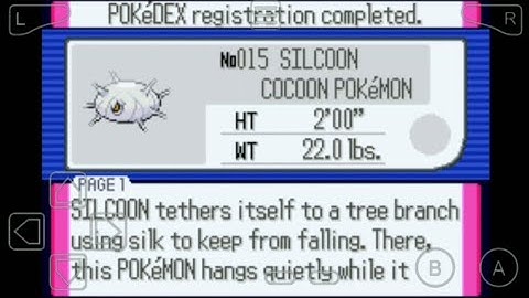 015: Where to Find Silcoon in Pokemon Ruby!