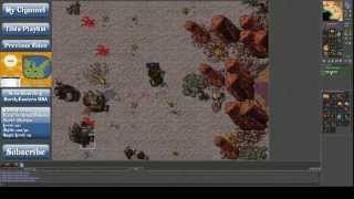 Lets play Tibia: Test Server, Krailos Surface. (ENG) Net Worth