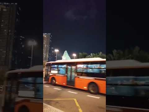 Pela Dionisi en vivo en salón de eventos del casino del Río,Viedma.
