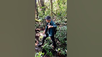 Chuyện lạ có thật_ Dòng suối đỏ xuất hiện trong rừng sâu, khiến ai cũng thót tim_ TT Official 2021