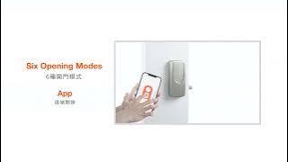SGUDA U-LOCK silver smart lock product introduction video