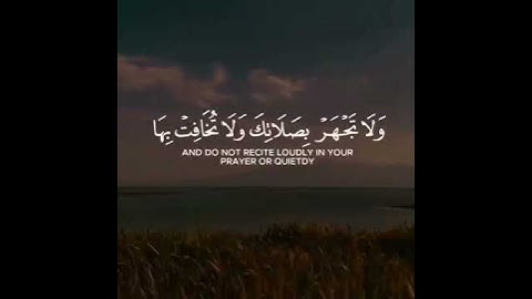 القارئ سعيد الخطيب| حالات واتس