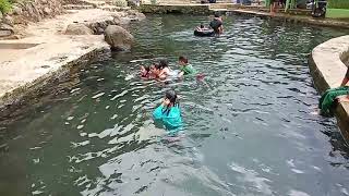 Berenang di Pemandian Mata Air Cileuleuy, Bunihayu, Subang. Airnya jernih bgt