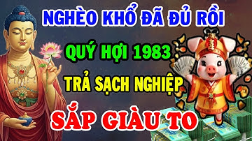 Hé Lộ 7 Dấu Hiệu: Tuổi Quý Hợi 1983 Đã Trả Hết Nghiệp – Rung Đùi Hưởng Phúc, Giàu Sang Ùn Ùn Về