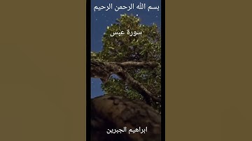 Best Sura Abasa Ibrahim Al jibreen سورة عبس ابراهيم الجبرين