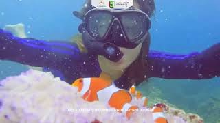 Wisata Bahari Pesawaran 