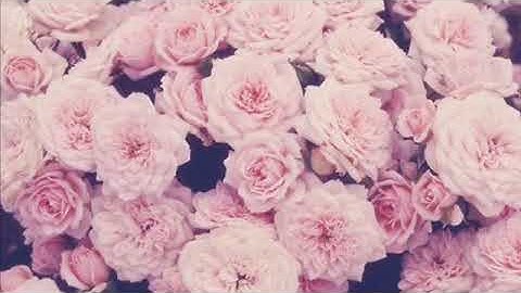 The worst MSP hacking event 😨😨