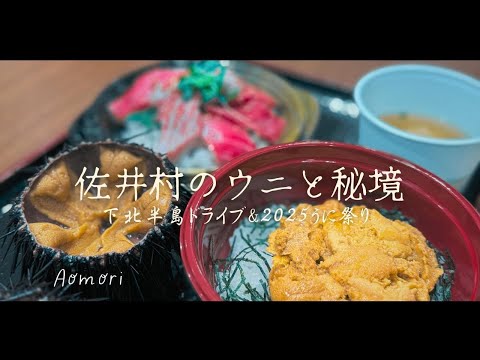 贅沢!うに特盛丼と大間の本マグロ丼を食す