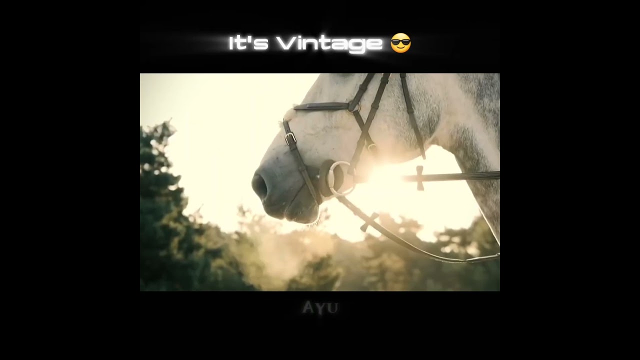 I like 🐎 You like Horse ? 