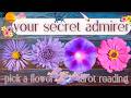 Who Has A Secret Crush On You Their Next Move What S Next Pick A Card Tarot Reading For Love 