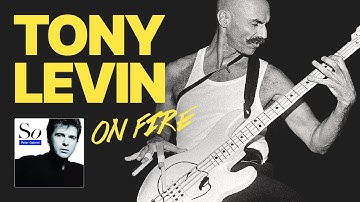 Bass Albums That Changed Music. Ep1. Tony Levin / Peter Gabriel