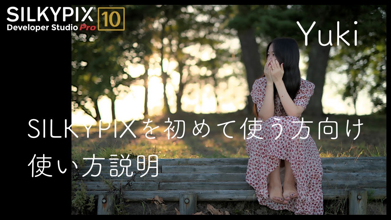 【SILKYPIX】日本製現像ソフトを使う。スタンダード現像。