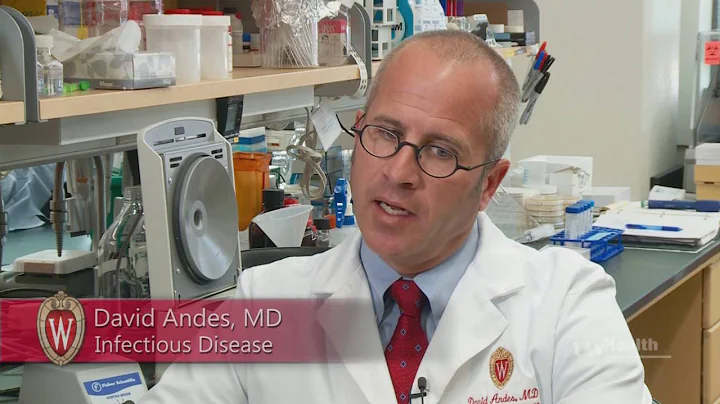 A New Era for Antibiotic Discovery?