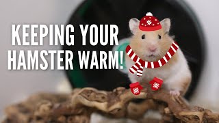 Keeping your hamster WARM in the winter