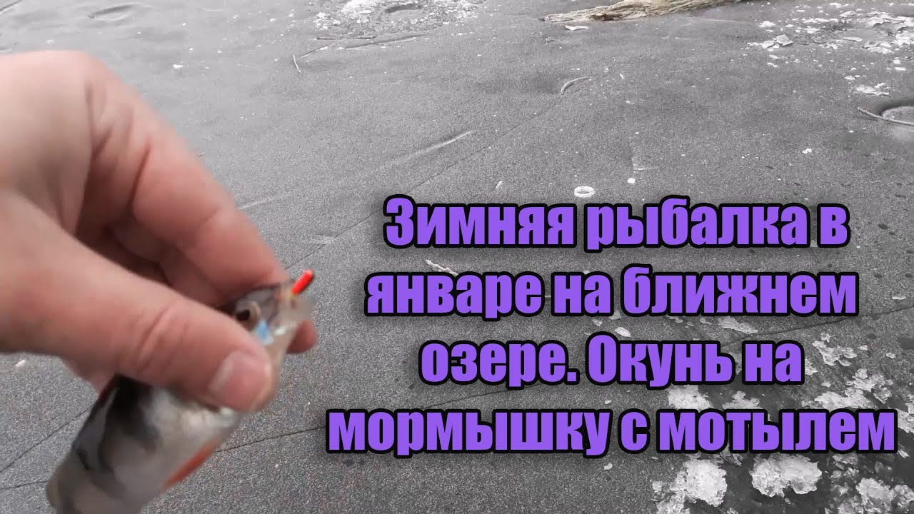 Зимняя рыбалка в январе на ближнем озере. Окунь на мормышку с мотылем ...