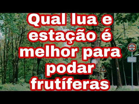 Vídeo: Quando Podar Macieiras? É Melhor Podá-los No Outono Ou Na Primavera? Quando Você Pode Fazer Poda Na Região De Moscou E Na Região De Leningrado, Em Outras Regiões?