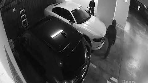 STOPPED by Deep Sentinel #25: Live Guards Preventing Auto Thefts & Break-Ins