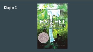 Hatchet: Chapter 3