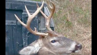 PUBLIC LAND FLORIDA DEER HUNTING: Ending it with a bang!
