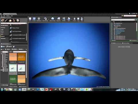 Whale Simulator Prototype 1.1