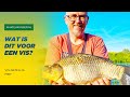 Een COUSCOUS knoeperd tijdens FEEDER VISSEN - VOERTIPS en uitleg!