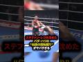 ステファン・レコを沈めたバダ・ハリの伝説の回転蹴りがヤバすぎる　#格闘技