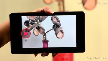 Google Nexus 7 - Camera : Shoot video