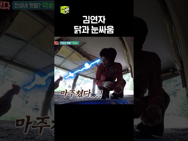 서로 눈치 싸움 중 #트롯신이떴다