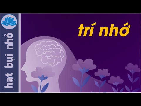 Video: Những vụ tự sát. Phần 1