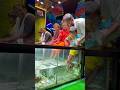 NR Fish Spa🥰 Besant Nagar beach +919952085544 #youtubeshorts #spa #cute #fish #yt #youtube #chennai