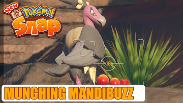 New Pokemon Snap - Munching Mandibuzz
