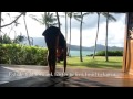 Sun salutations in tropical paradise